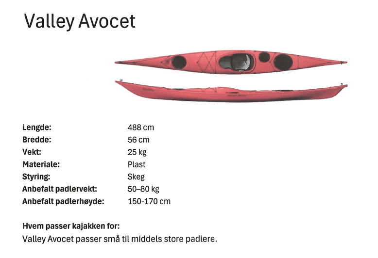 Valley Avocet